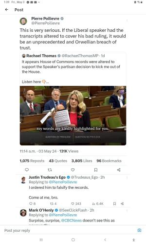 rachel thomas