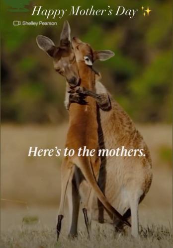 photo_2024-05-12_18-10-40