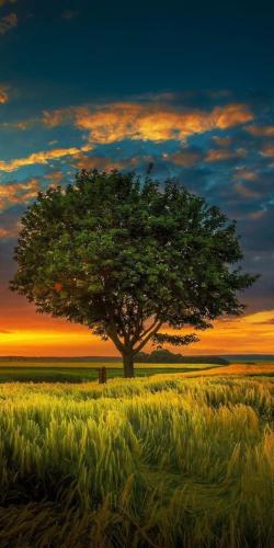 img-d56367d3