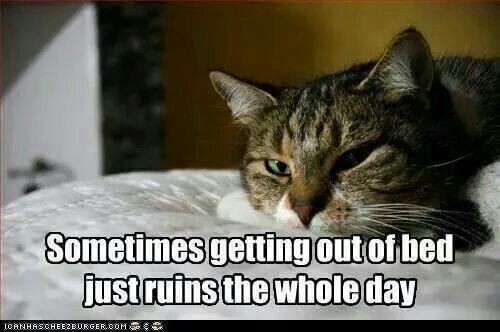 012a662c084e2a34f563864e88c3370e