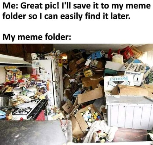 image_1A593AD8-0132-4F5D-864A-4C048A446E37