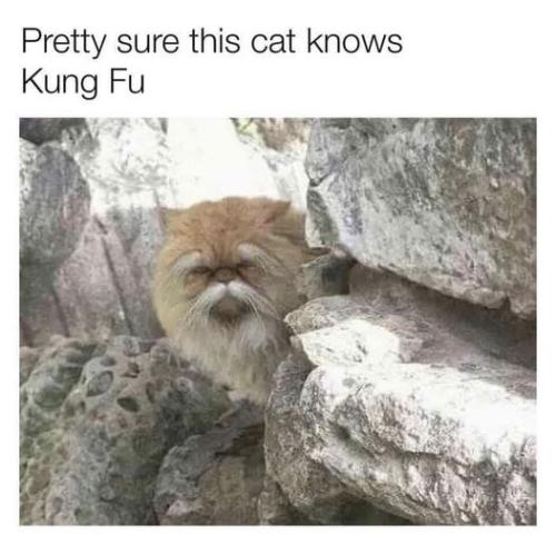 445464344_487256143975763_3096492123726196041_n