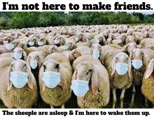 I'm not here to make friends sheeple960px