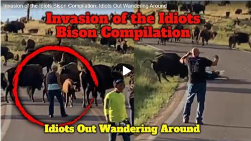 Invasion of the Idiots Bison screenshot