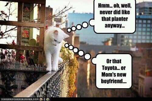 9b20b858fb1f0dc716c6273f2407c166