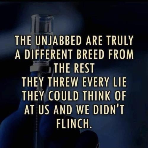 IMG_20240520_030236_117