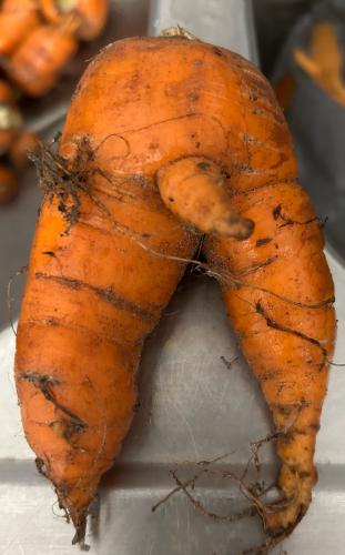 F00F3396-2EAE-4EA8-B584-66E3B399BE2A