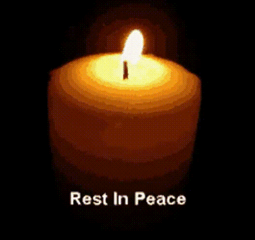 Cheryl_E_🇮🇱🇮🇱🇮🇱🎗️_20240519_32