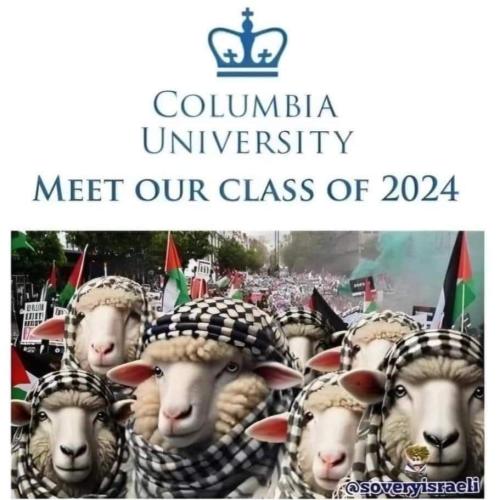 FB_IMG_1714843053466