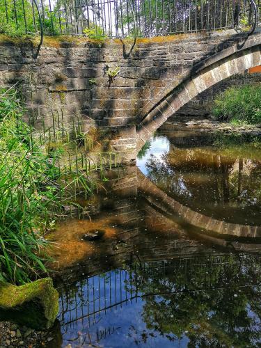 IMG_20220602_112359-01