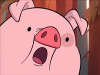 PIG  waddles