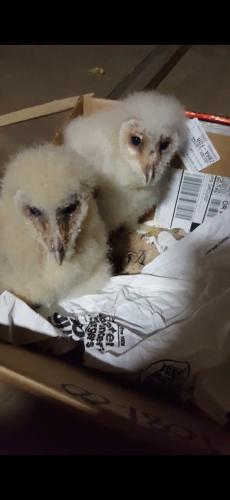 Screenshot_20240522_144449_Photos