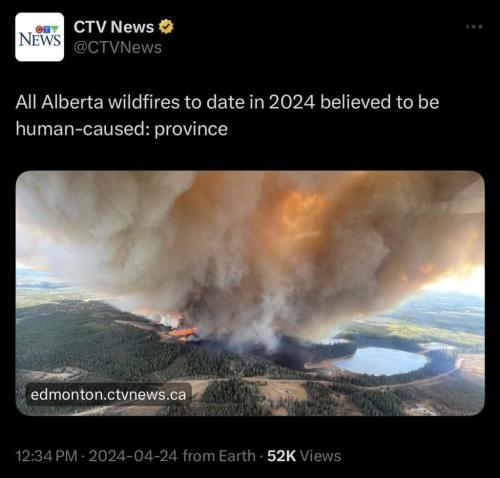 photo_2024-05-15_11-16-08