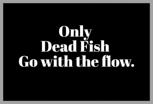 Only dead fish go with the flow