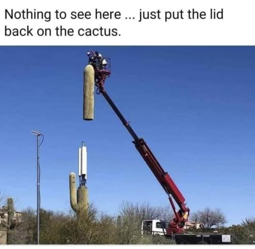 Screenshot_20240430_155632_Facebook