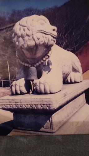 IMG_20240520_062721484-01