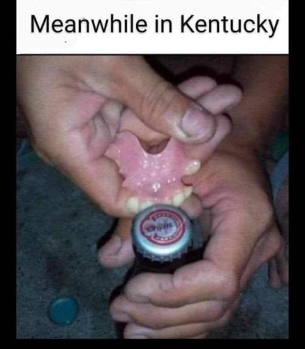 image_0B97E908-1FB4-4650-B724-4B2CB948C88C