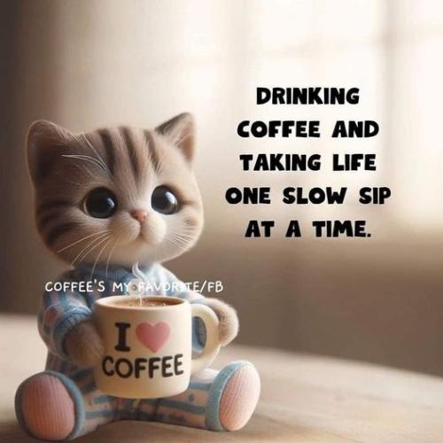 436415634_122203929902010469_8995304901982820891_n