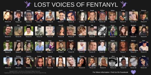 Lost Voices of Fentanyl