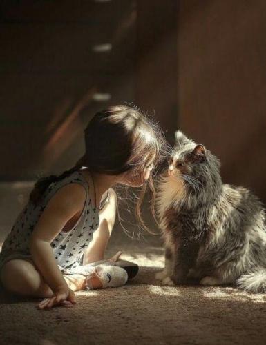 img-9a30a77c