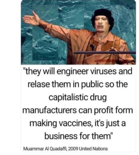 Quadaffi on viruses and vaccines