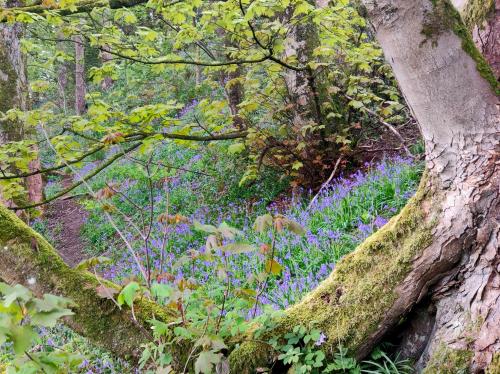 PicsArt_05-01-01.54.22