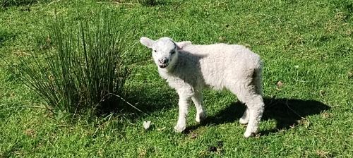 IMG_20240519_101146916