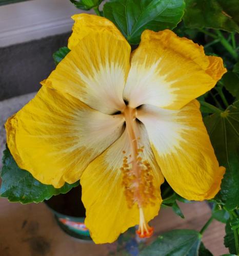 0a0bac45-830f-47e1-9b71-63995d4dc9ef