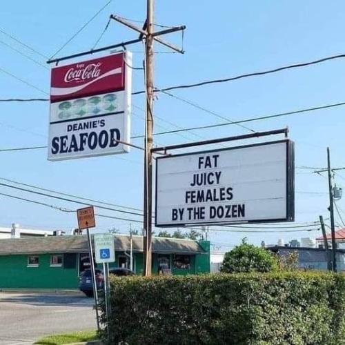 FB_IMG_1716377080624