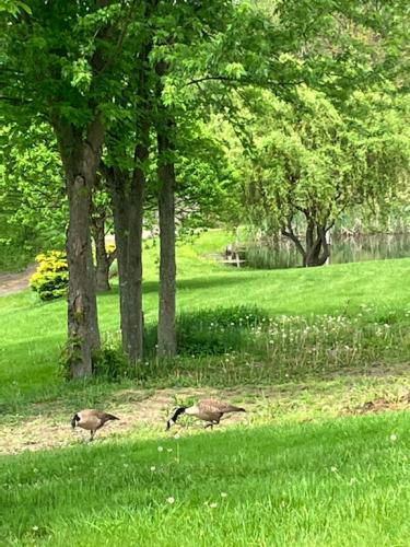 02F761E9-1DA4-4D5C-823C-8FFB495DC541