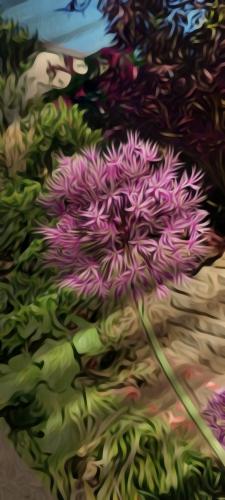 Picsart_24-05-22_14-55-07-320