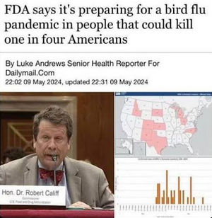 bird flu00