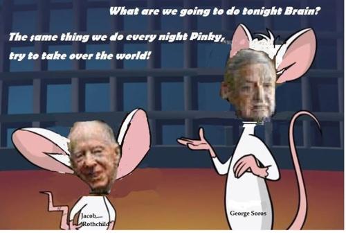 Pinky & Brain