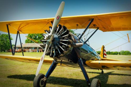 img-7ea819a7