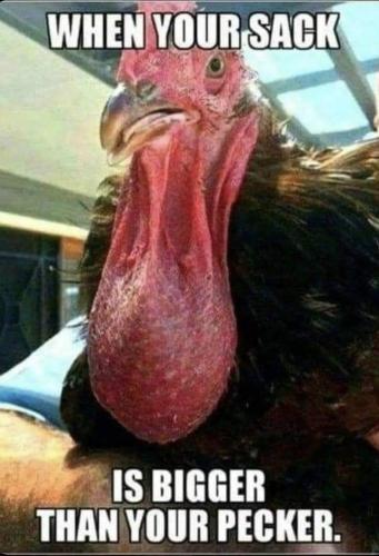 image_D4A89272-AF83-4D25-95EB-2D549FD6C278