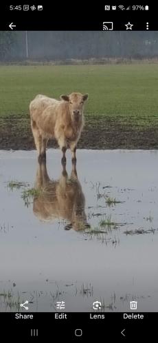 Screenshot_20240502_054528_Photos