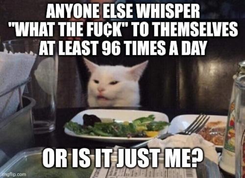 or is it just me