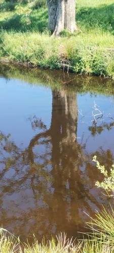 IMG_20240519_093642300