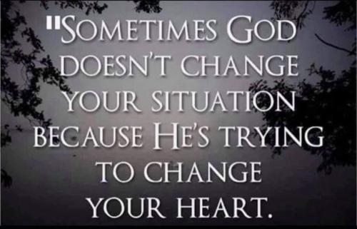 7e43ecd1-42cb-4bc8-80da-802f64606e07