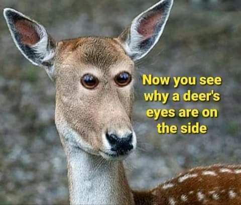 FB_IMG_1715883824078