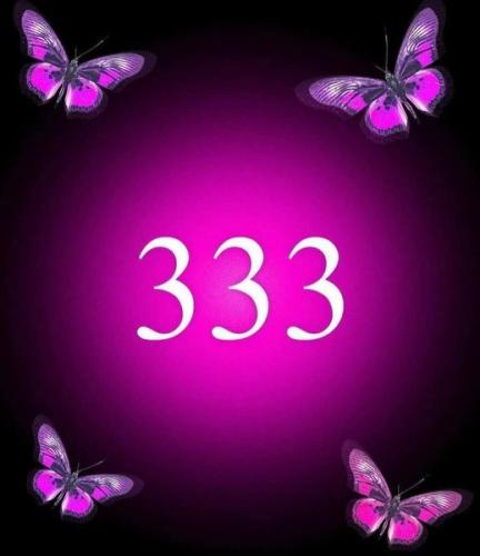 438079107_428167150170457_8083938687731954697_n