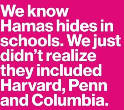 438802483_407317312254599_751073554849831488_n