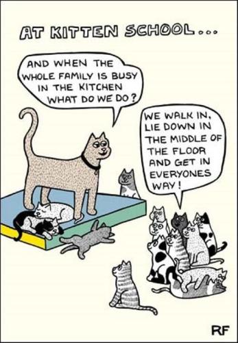 442415323_910195307785464_7149167189939065637_n