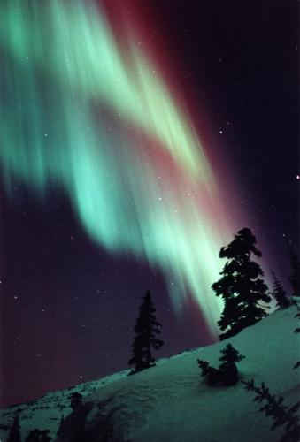 08eb815c8df8c72e804247b4be601583--skagway-alaska-alaska-northern-lights