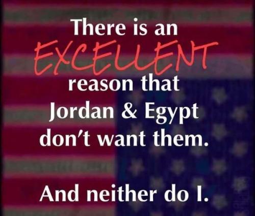 440338282_465387092728438_5544764572932552765_n