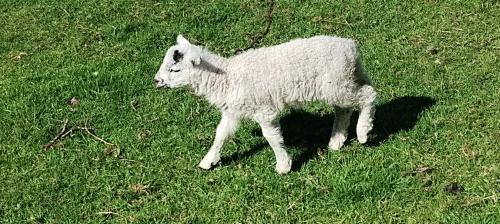 IMG_20240519_101137000