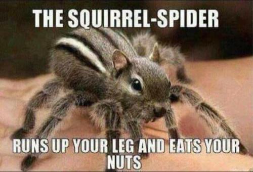 image_EC5054CB-B3BD-4931-8F47-571D01D874C6