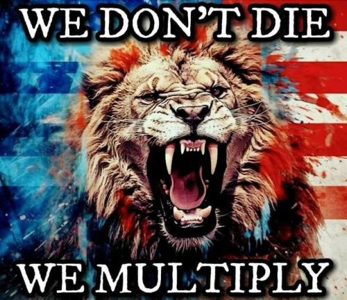 IMG_20240516_091848_954