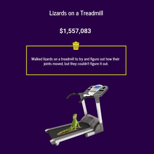 exit polling rand paul lizards