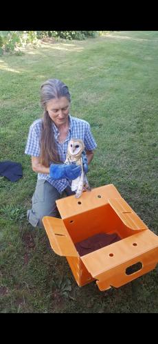 Screenshot_20240522_142740_Photos